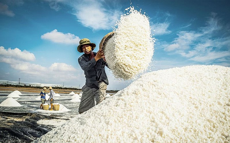 vla.com.vn