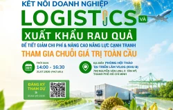 Knoi VLA - Poster T07-06